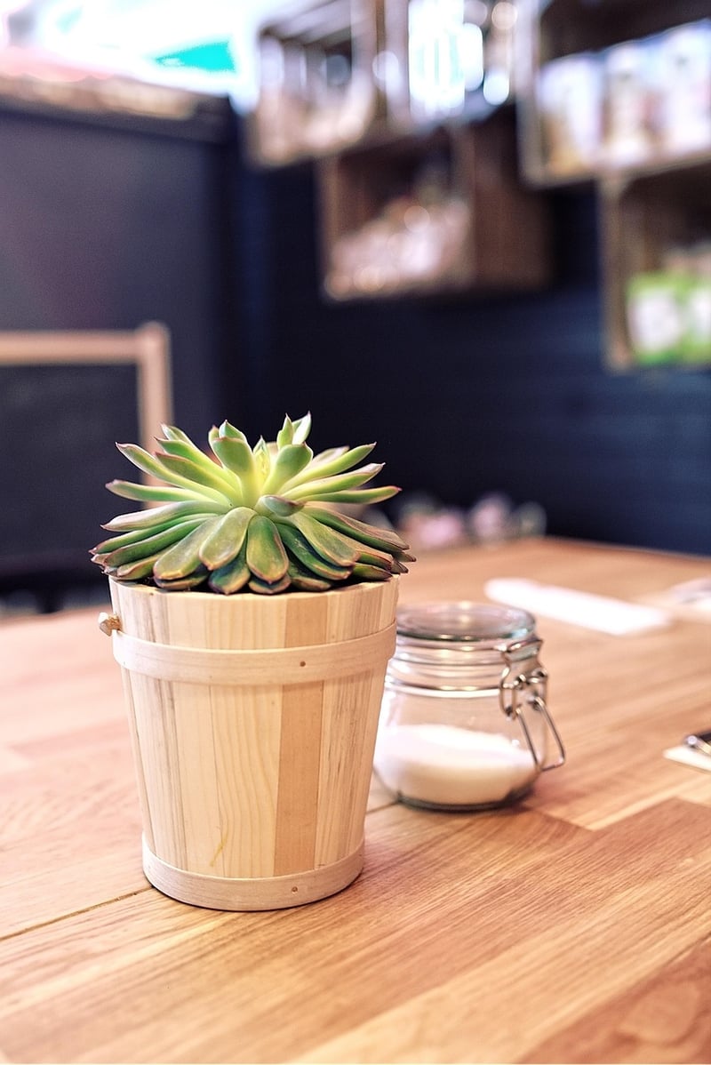 Upcycled Planters